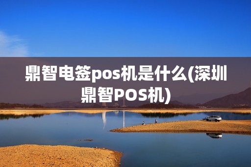 鼎智电签pos机是什么(深圳鼎智POS机)