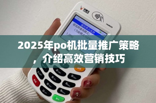 2025年po机批量推广策略，介绍高效营销技巧