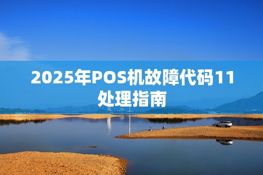 2025年POS机故障代码11处理指南
