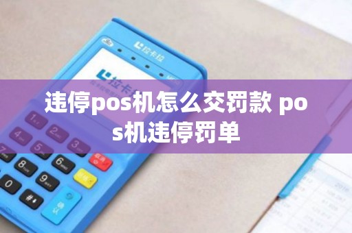 违停pos机怎么交罚款 pos机违停罚单
