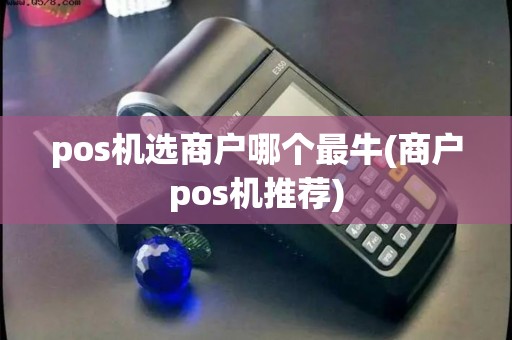 pos机选商户哪个最牛(商户pos机推荐)