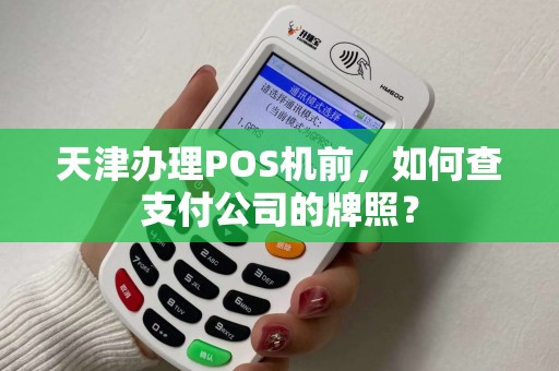 天津办理POS机前，如何查支付公司的牌照？