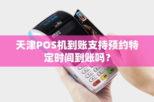 天津POS机到账支持预约特定时间到账吗？