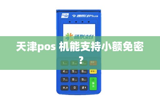 天津pos 机能支持小额免密？