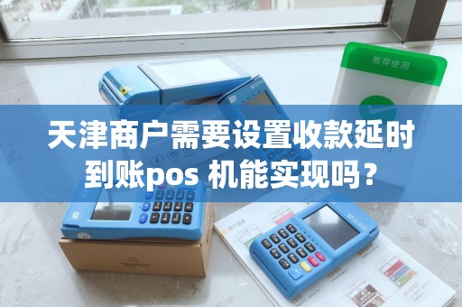 天津商户需要设置收款延时到账pos 机能实现吗？