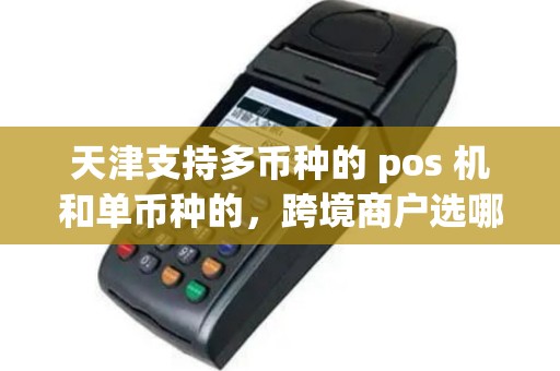 天津支持多币种的 pos 机和单币种的，跨境商户选哪个？