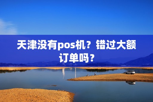 天津没有pos机？错过大额订单吗？