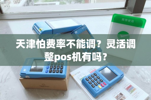 天津怕费率不能调？灵活调整pos机有吗？