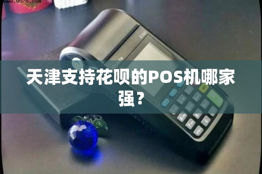 天津支持花呗的POS机哪家强？