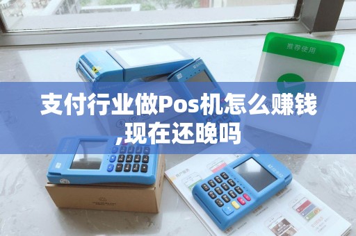 支付行业做Pos机怎么赚钱,现在还晚吗