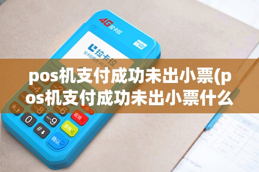 pos机支付成功未出小票(pos机支付成功未出小票什么意思)