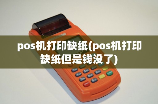 pos机打印缺纸(pos机打印缺纸但是钱没了)