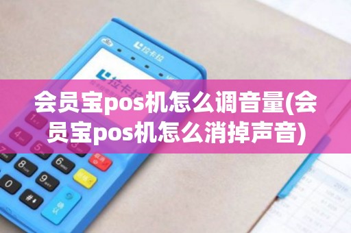 会员宝pos机怎么调音量(会员宝pos机怎么消掉声音)