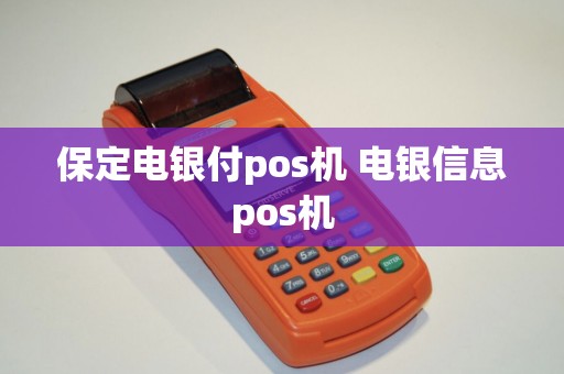 保定电银付pos机 电银信息pos机