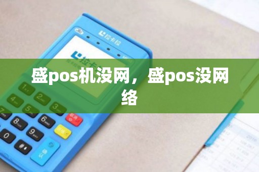 盛pos机没网，盛pos没网络