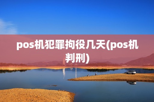 pos机犯罪拘役几天(pos机判刑)