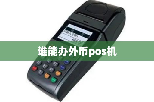 谁能办外币pos机