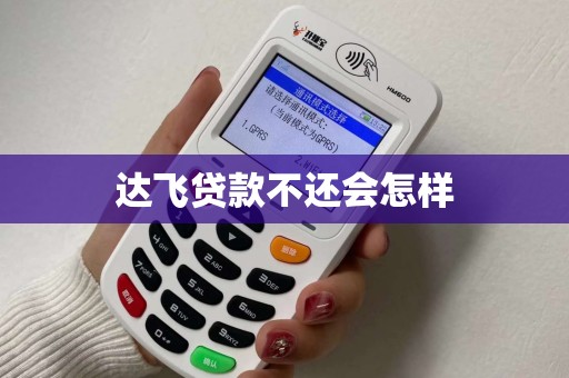 达飞贷款不还会怎样