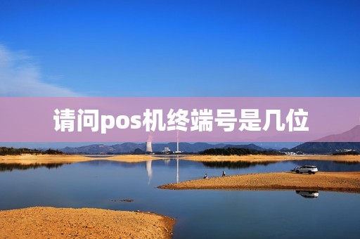 请问pos机终端号是几位