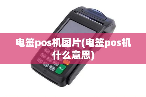 电签pos机图片(电签pos机什么意思)