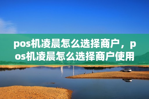 pos机凌晨怎么选择商户，pos机凌晨怎么选择商户使用