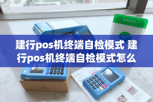 建行pos机终端自检模式 建行pos机终端自检模式怎么设置