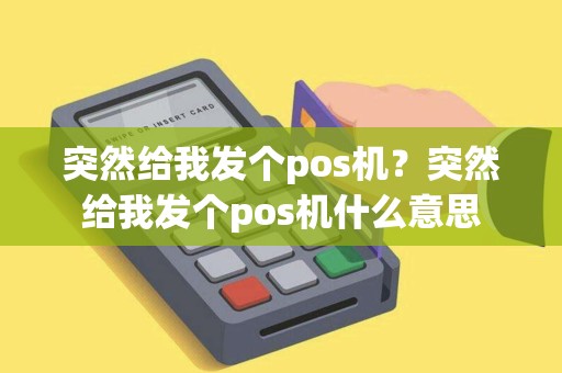 突然给我发个pos机？突然给我发个pos机什么意思