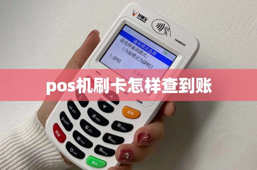 pos机刷卡怎样查到账