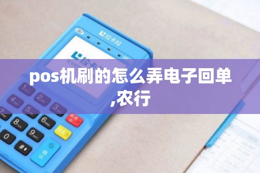 pos机刷的怎么弄电子回单,农行