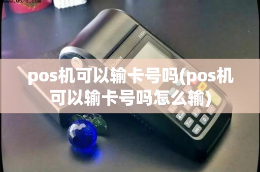 pos机可以输卡号吗(pos机可以输卡号吗怎么输)