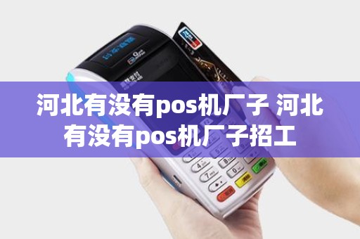 河北有没有pos机厂子 河北有没有pos机厂子招工