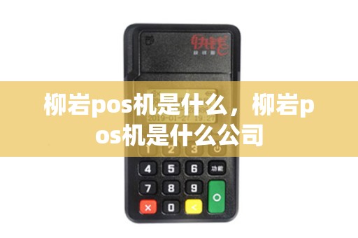 柳岩pos机是什么，柳岩pos机是什么公司