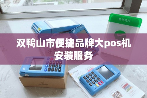 双鸭山市便捷品牌大pos机安装服务