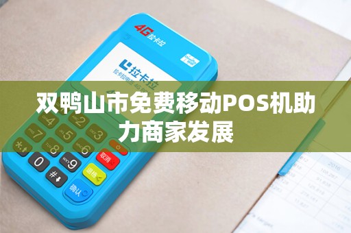 双鸭山市免费移动POS机助力商家发展