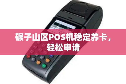 碾子山区POS机稳定养卡，轻松申请