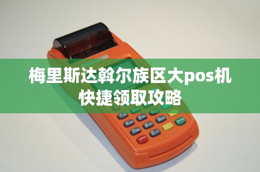 梅里斯达斡尔族区大pos机快捷领取攻略