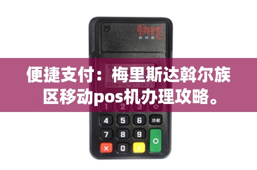 便捷支付：梅里斯达斡尔族区移动pos机办理攻略。