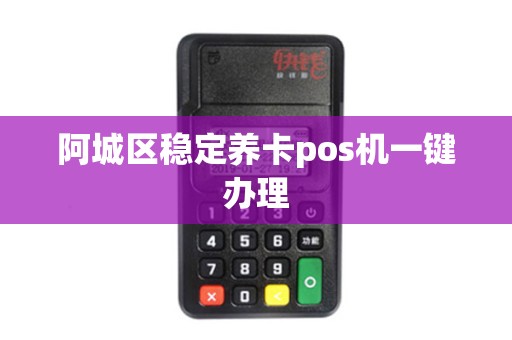 阿城区稳定养卡pos机一键办理