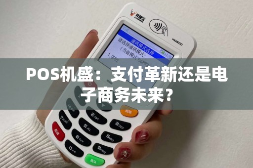 POS机盛：支付革新还是电子商务未来？