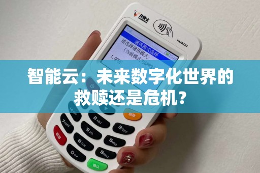 智能云：未来数字化世界的救赎还是危机？