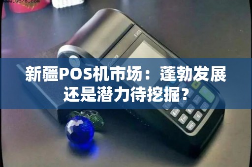 新疆POS机市场：蓬勃发展还是潜力待挖掘？