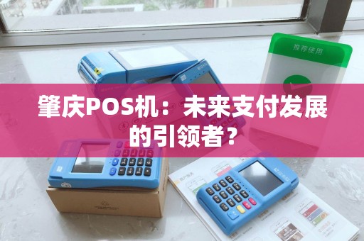 肇庆POS机：未来支付发展的引领者？
