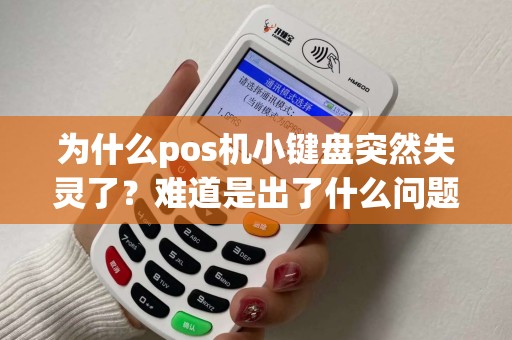 为什么pos机小键盘突然失灵了？难道是出了什么问题？