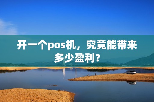 开一个pos机，究竟能带来多少盈利？