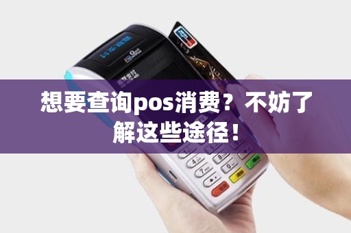 想要查询pos消费？不妨了解这些途径！
