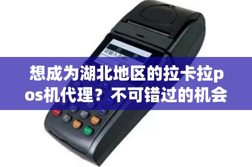 想成为湖北地区的拉卡拉pos机代理？不可错过的机会！
