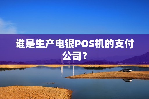 谁是生产电银POS机的支付公司？