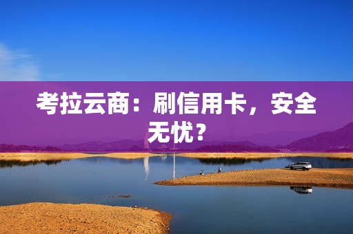考拉云商：刷信用卡，安全无忧？