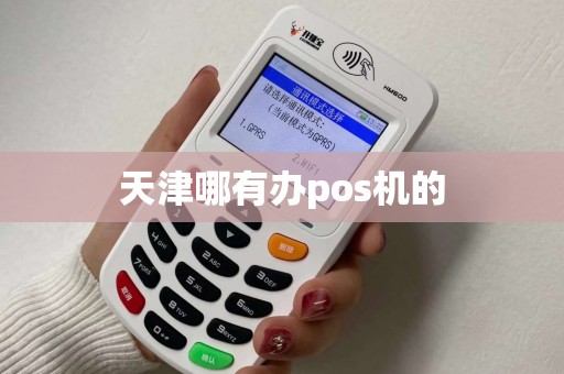 天津哪有办pos机的
