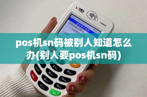 pos机sn码被别人知道怎么办(别人要pos机sn码)